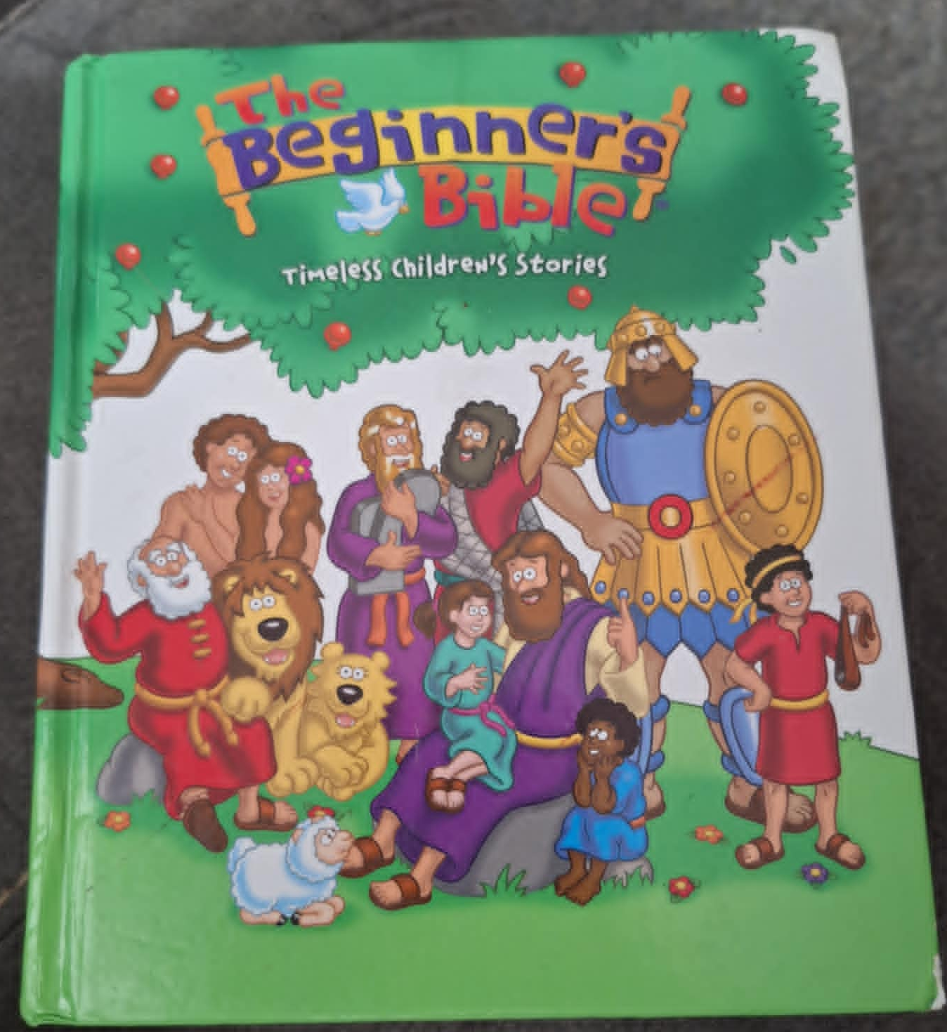 The Beginner's Bible: Timeless Children's Stories (Gently Used)