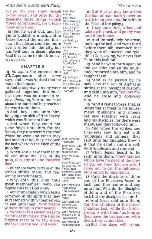 KJV Holy Bible Large Print Center-Column Reference Bible, Comfort Print--pink soft leather-look