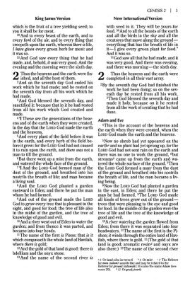 NIV and KJV Side-by-Side Bible, Large Print, Italian Duo-Tone, Navy/Tan