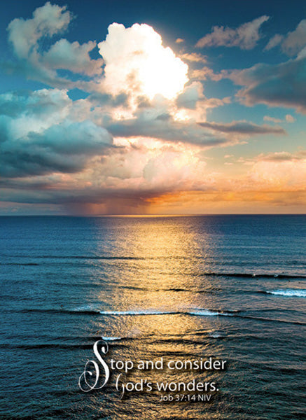 Ocean Scenes Birthday Cards, Box of 12