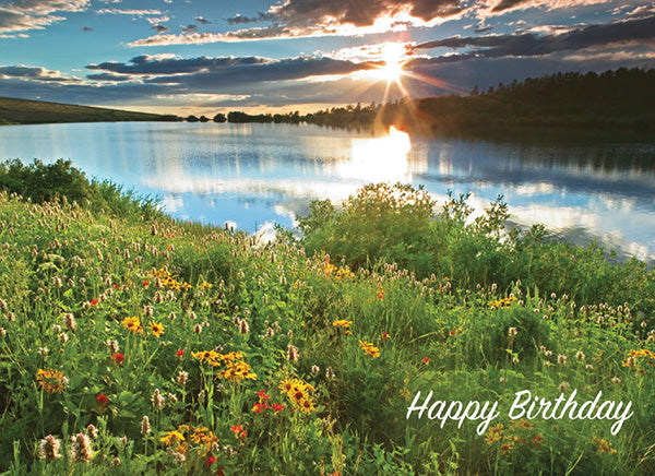 Ocean Scenes Birthday Cards, Box of 12