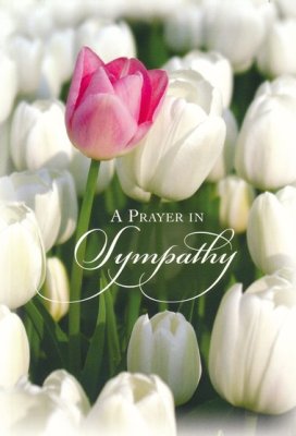 God's Promises, Box of 12 Sympathy Cards (KJV)