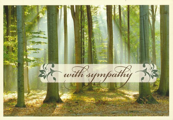 God's Promises, Box of 12 Sympathy Cards (KJV)
