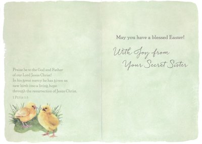 Secret Sister Value Boxed Cards, 12 (NIV, KJV)