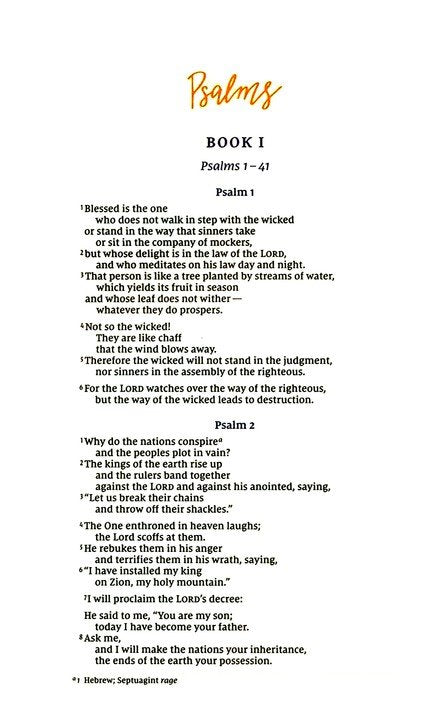 Psalms, NIV Beautiful Word Bible Journal, Comfort Print