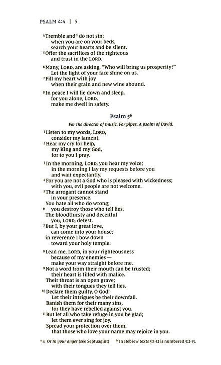 Psalms, NIV Beautiful Word Bible Journal, Comfort Print
