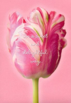 Pink Flowers Valentine Cards, Box of 12