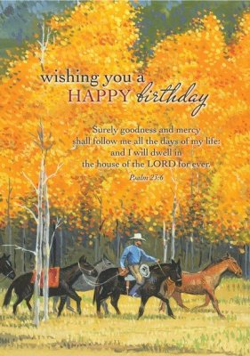 Majestic Mountains Birthday Cards, Box of 12