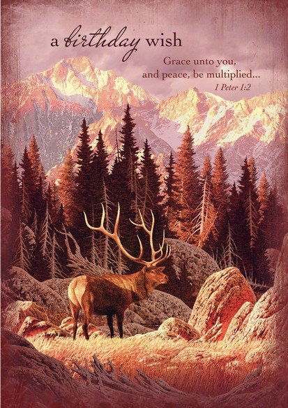 Majestic Mountains Birthday Cards, Box of 12