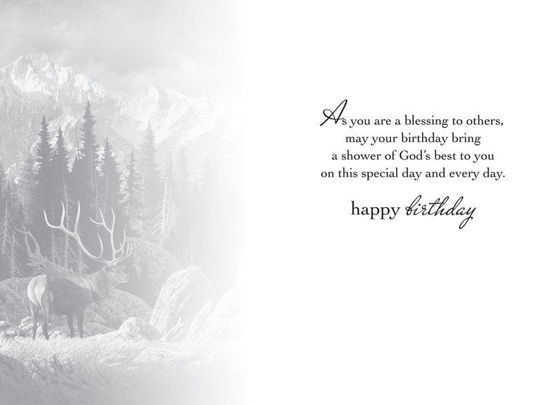 Majestic Mountains Birthday Cards, Box of 12