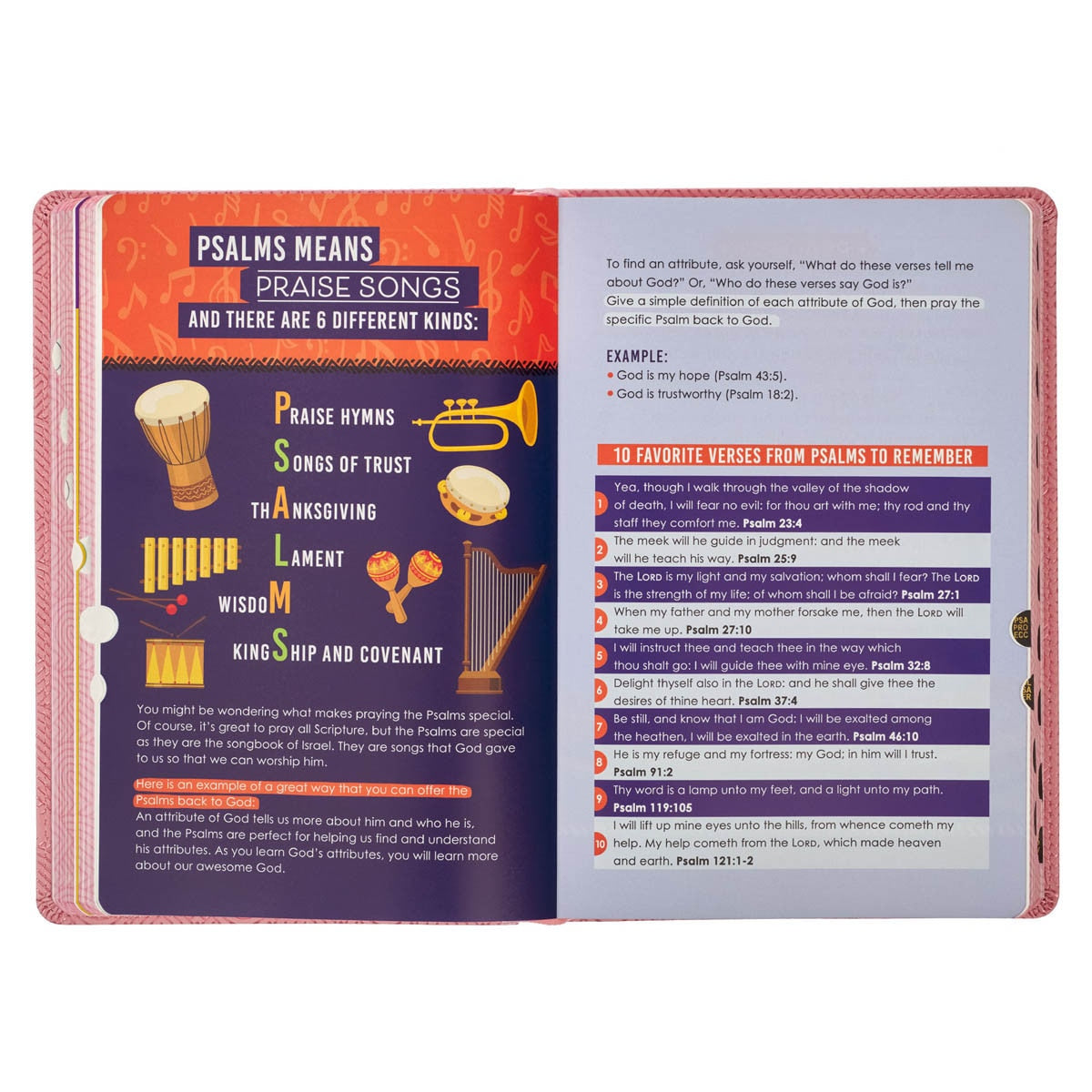 Blossom Pink Heart Faux Leather Kid's King James Version Bible